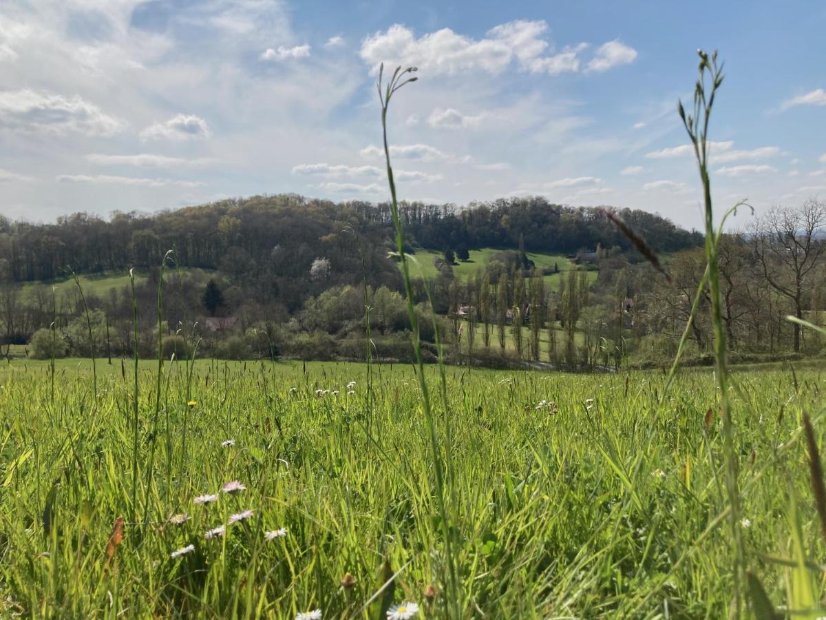 Domaine Labouroume - Housity