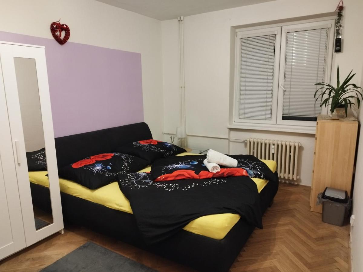 apartmán Mirabella - Housity