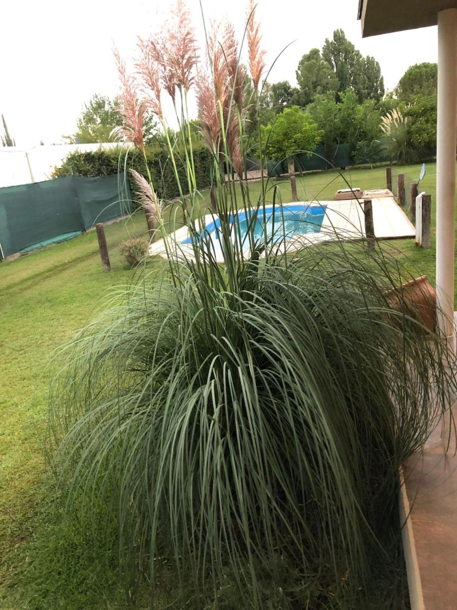 Casa vistalba - Housity