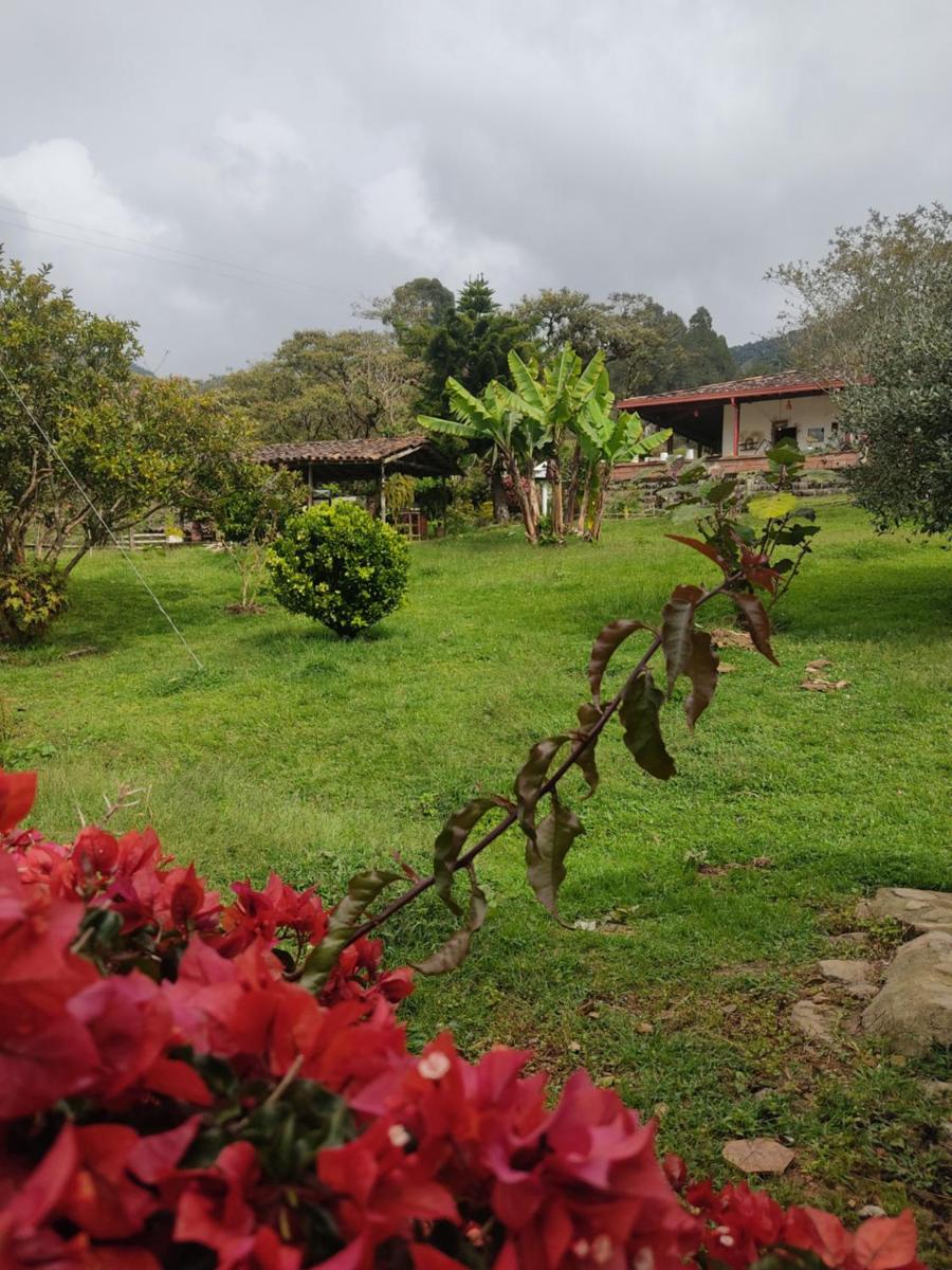 Granja San Antonio - Housity