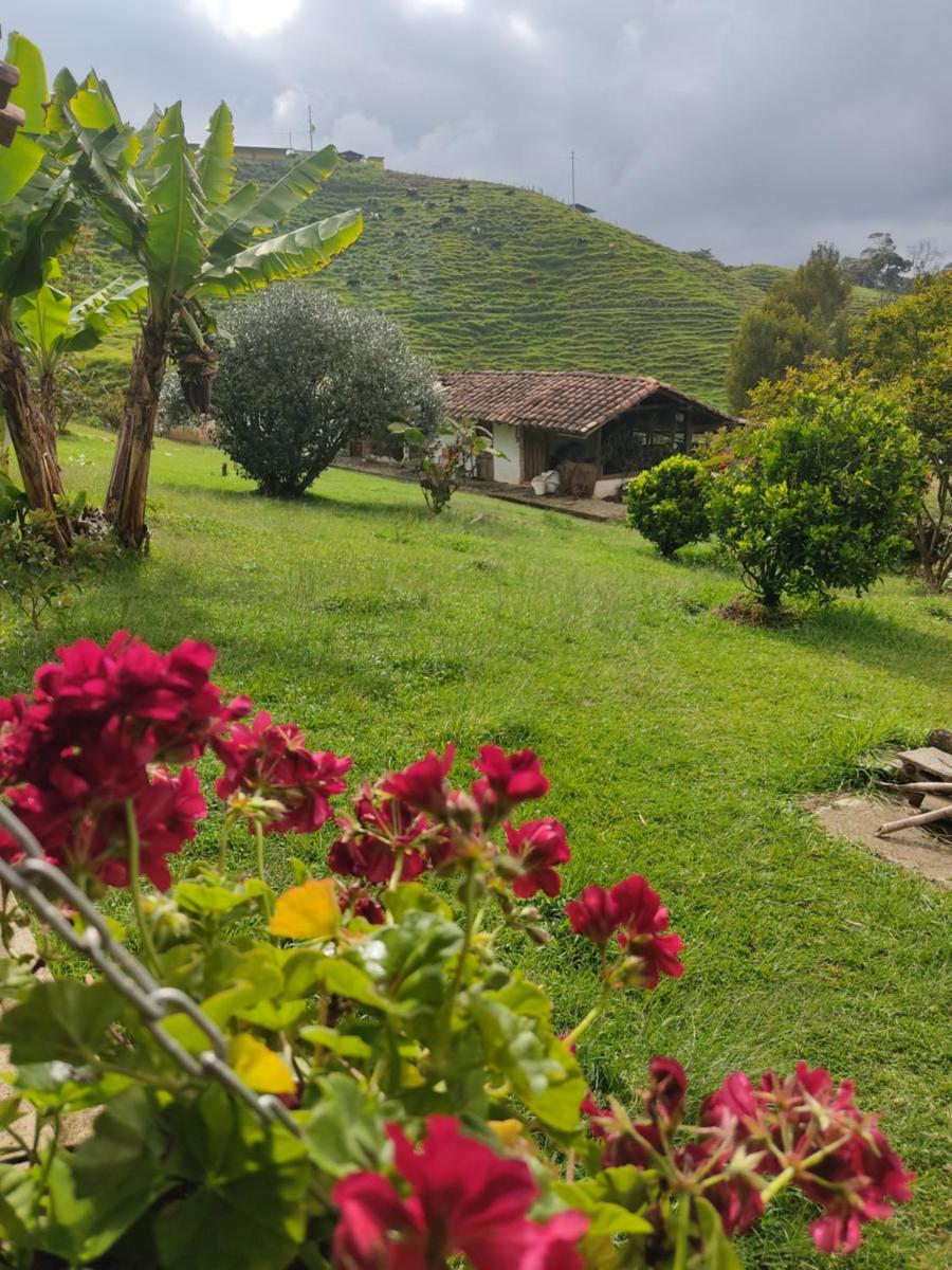 Granja San Antonio - Housity
