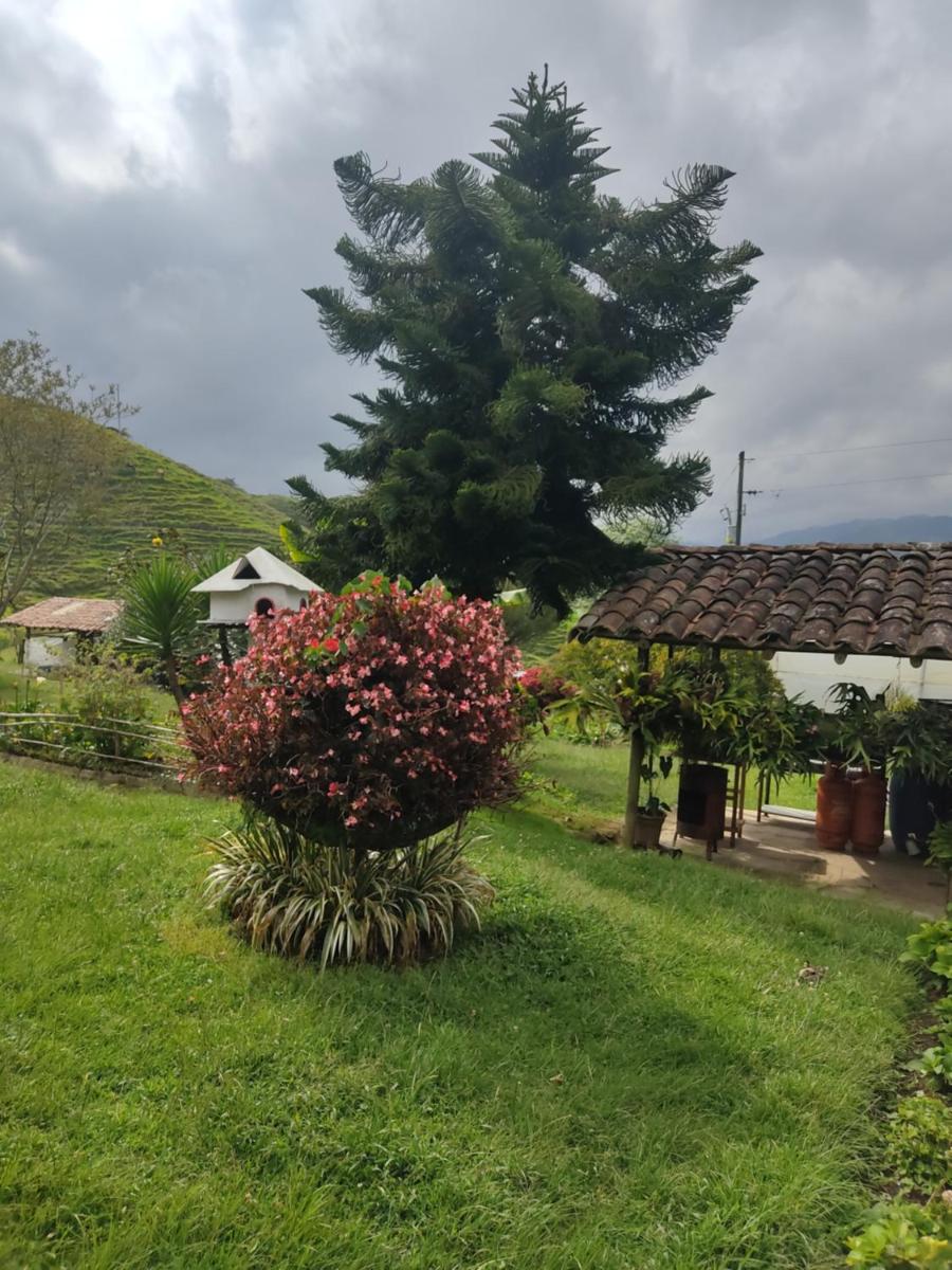 Granja San Antonio - Housity