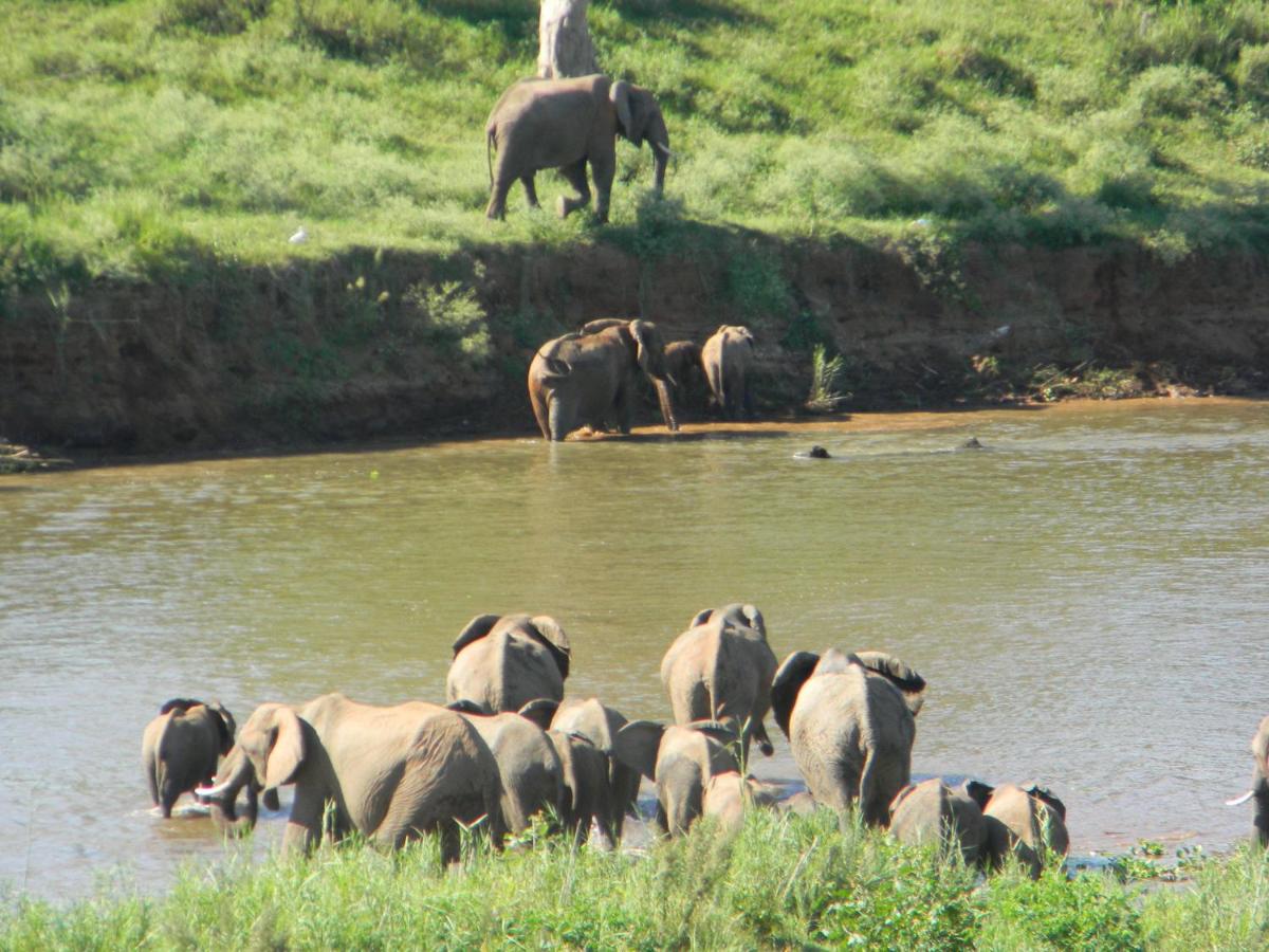 Kruger View Chalets - Housity