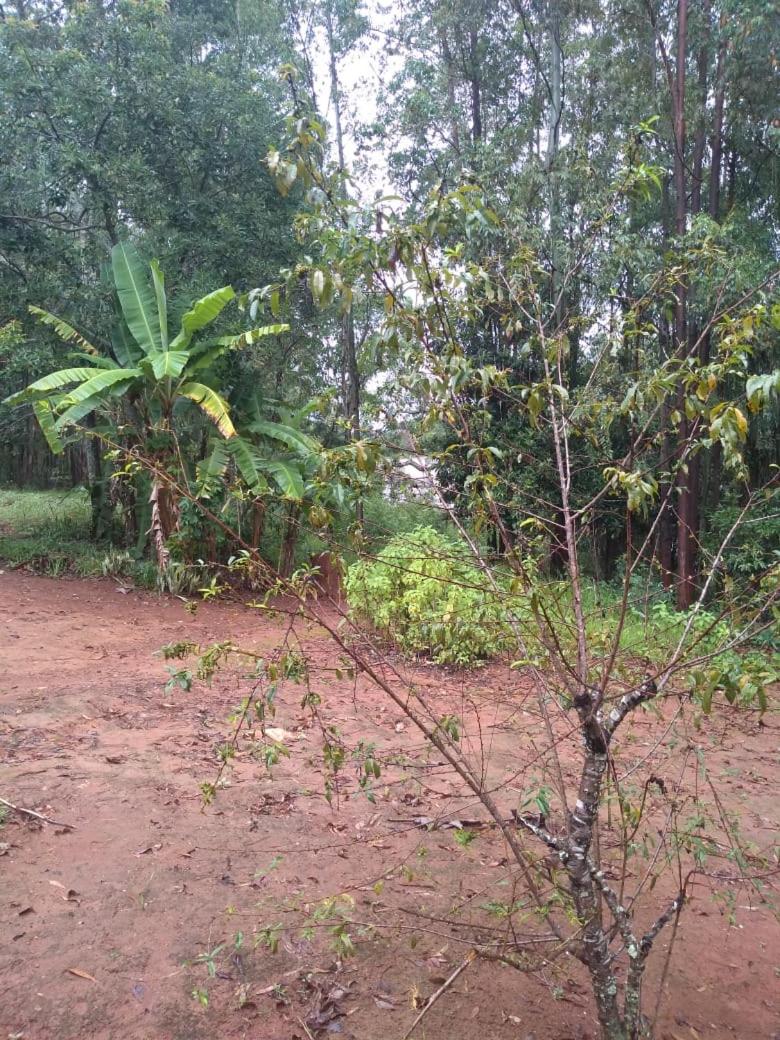 Cachoeira Sete Quedas - Housity