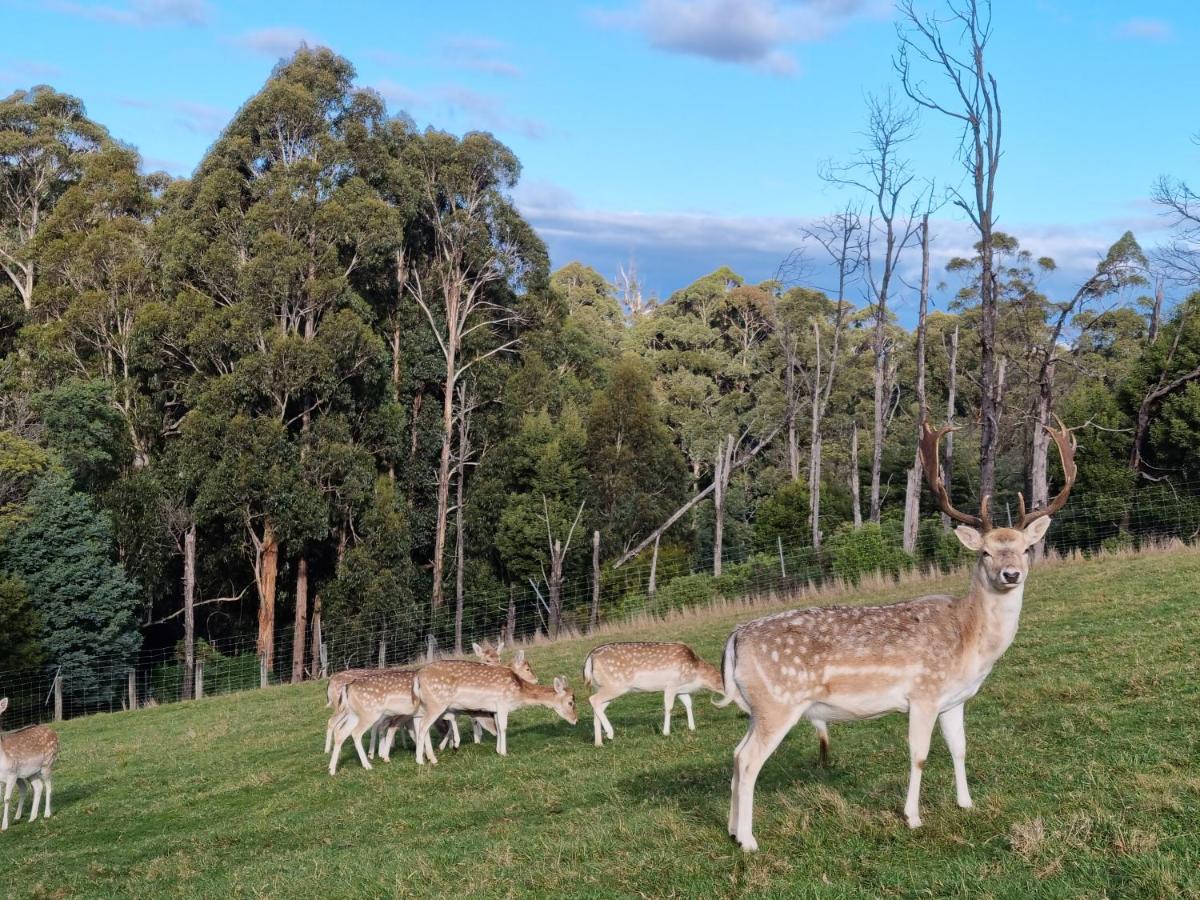 Wally's Edge 20acre Farm Stay - Housity