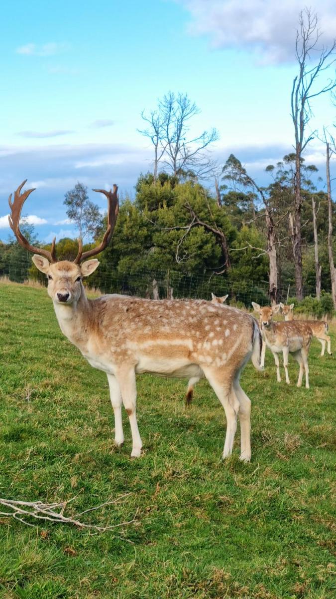 Wally's Edge 20acre Farm Stay - Housity