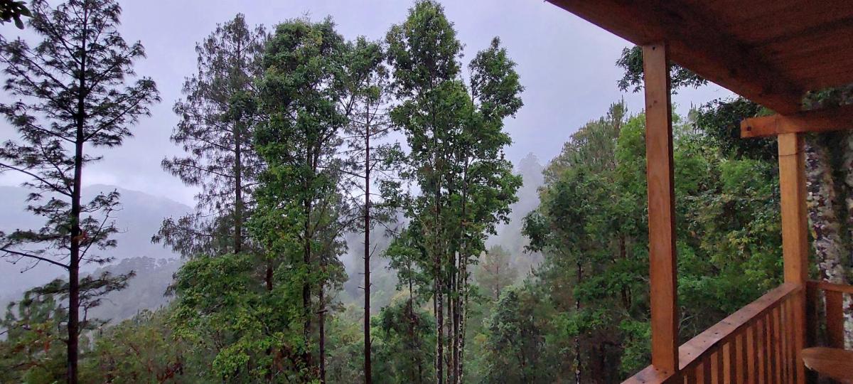 Cabaña en el Bosque de San José del Pacífico - Housity