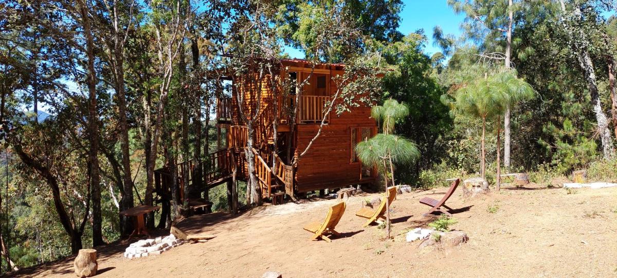 Cabaña en el Bosque de San José del Pacífico - Housity