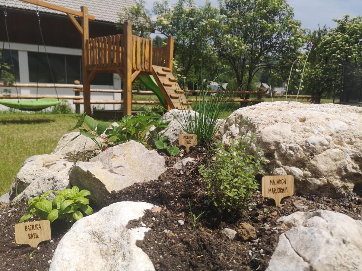 Alpine Joy Apartments - Housity