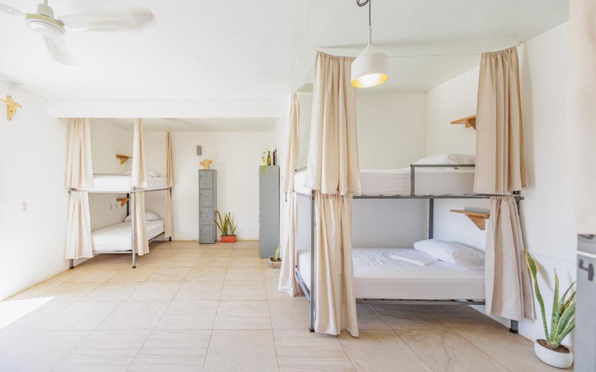 SurfNest Hostel - Housity