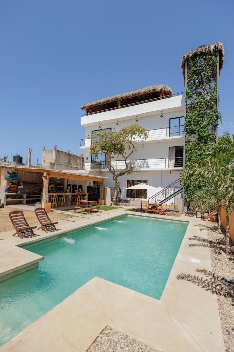 SurfNest Hostel - Housity