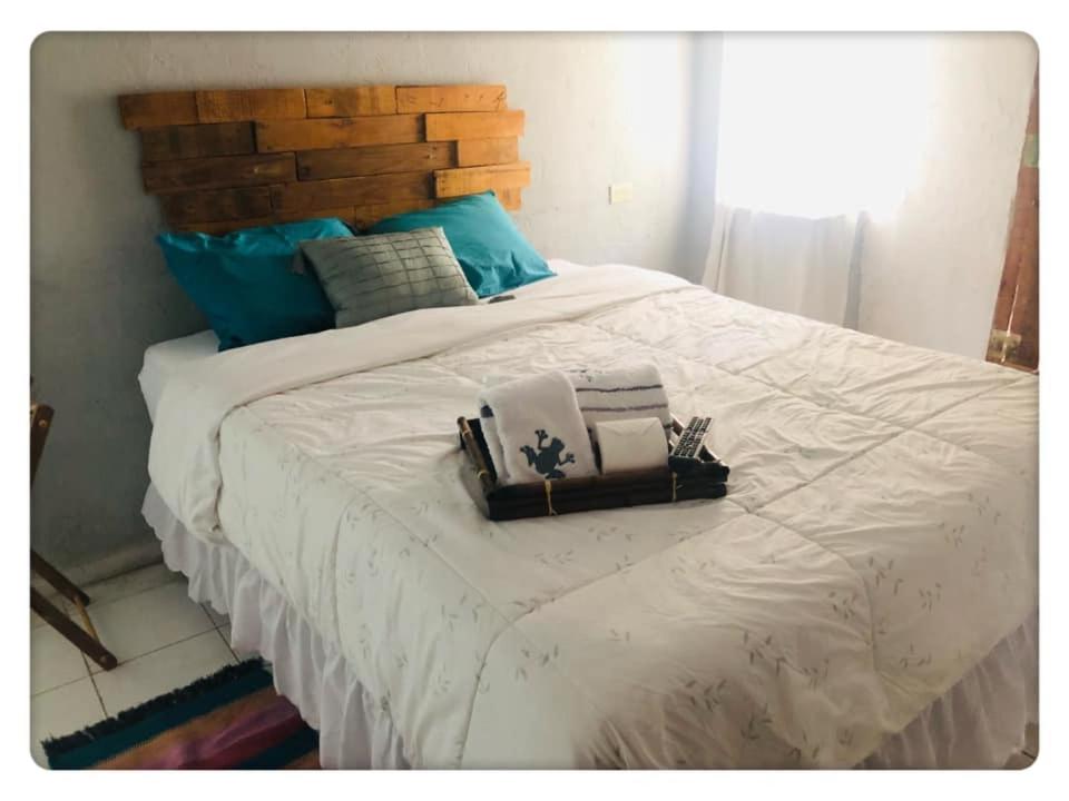 La Casa de Cantarranas - Housity