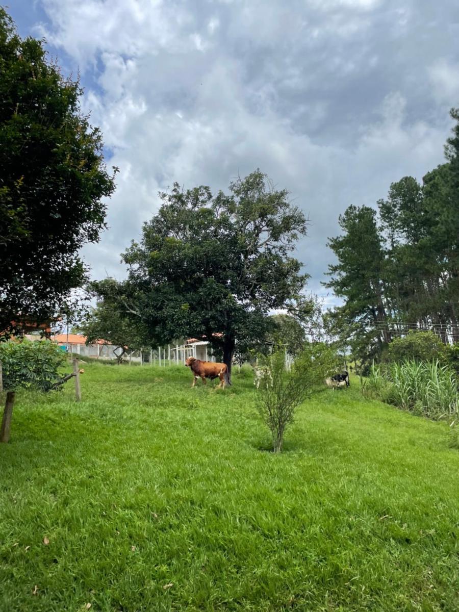 Chácara em Santa Isabel - Housity