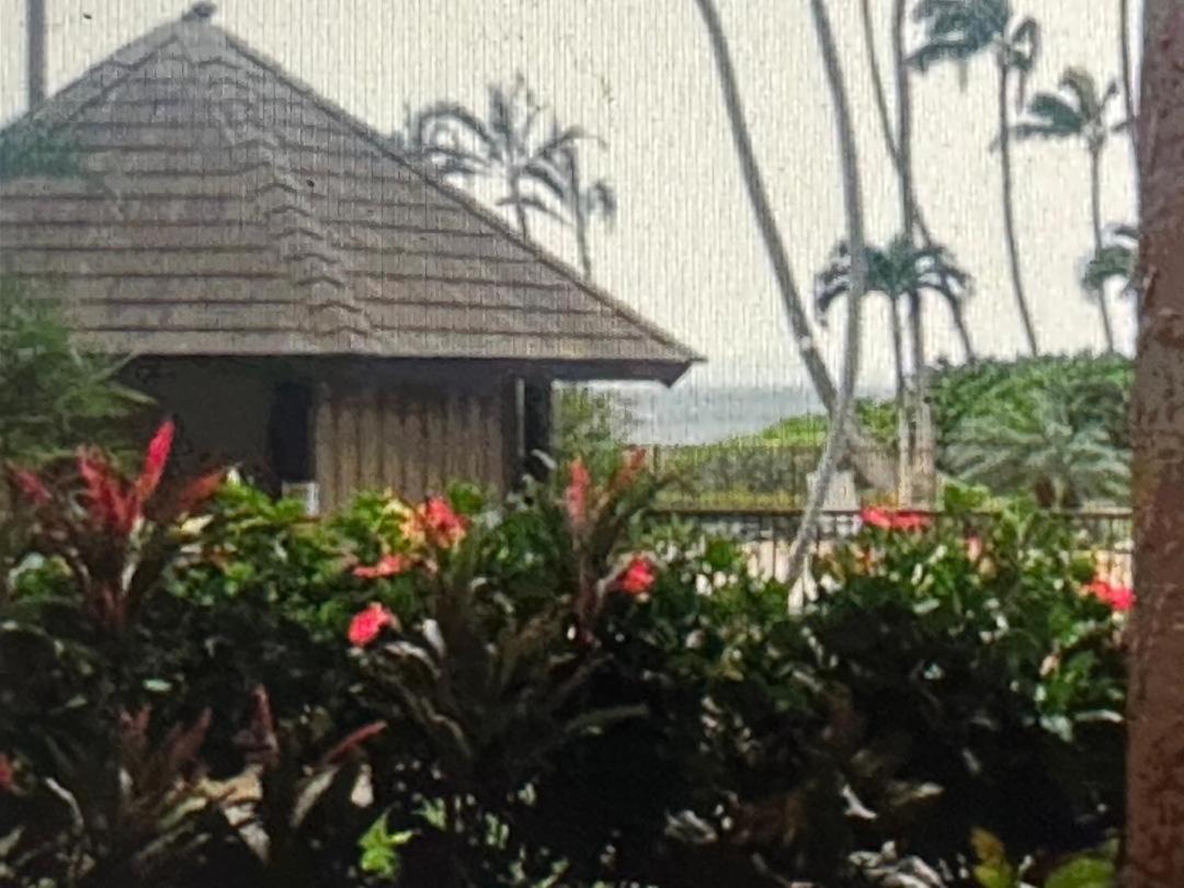 Oceanfront Property Maui Hawaii at Island Sands - Housity