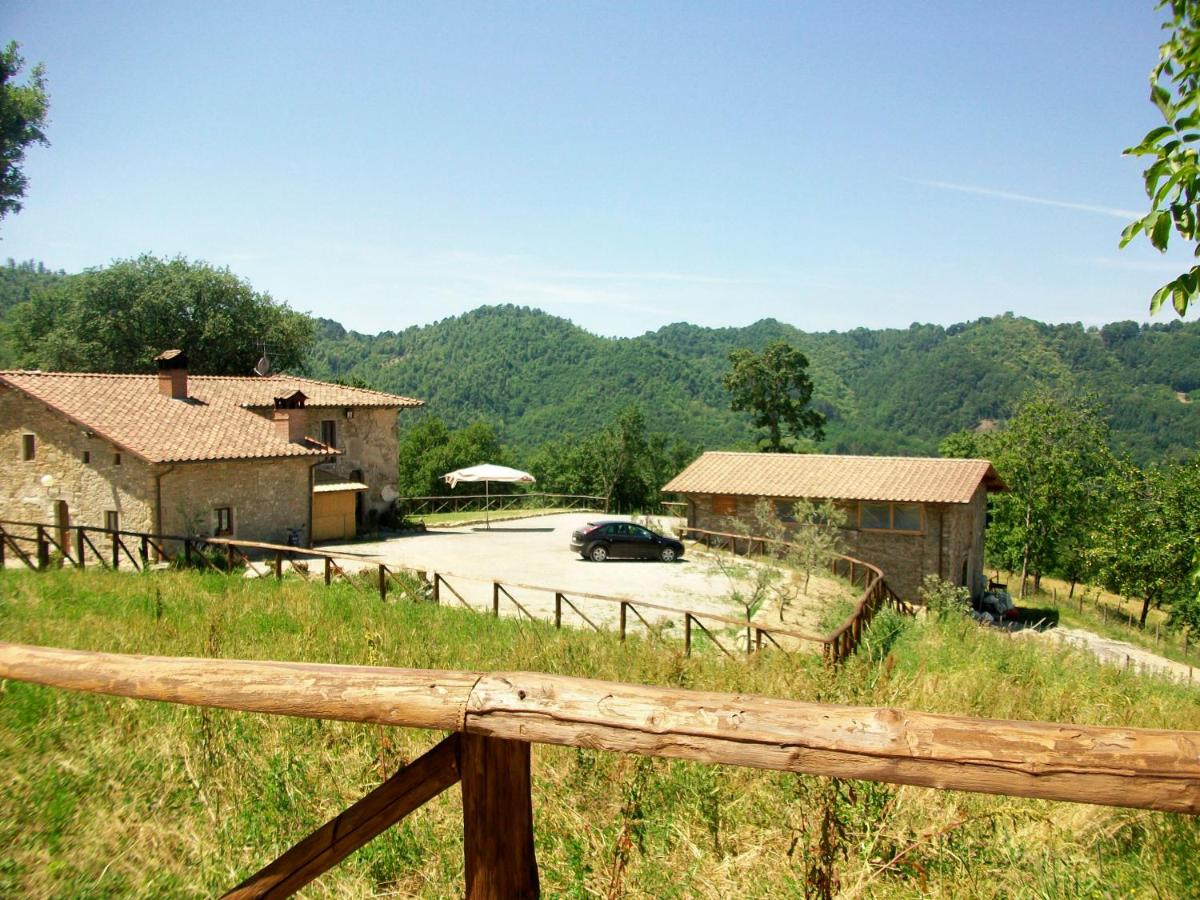 Country Farm - Housity