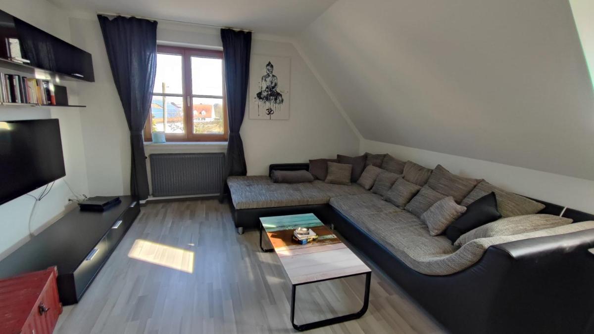 HOMELY STAY in a MODERN GREEN DREAM - Hizvo