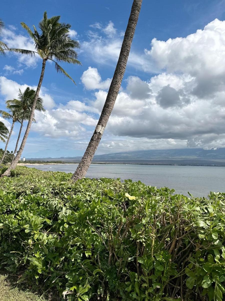 Oceanfront Property Maui Hawaii at Island Sands - Housity
