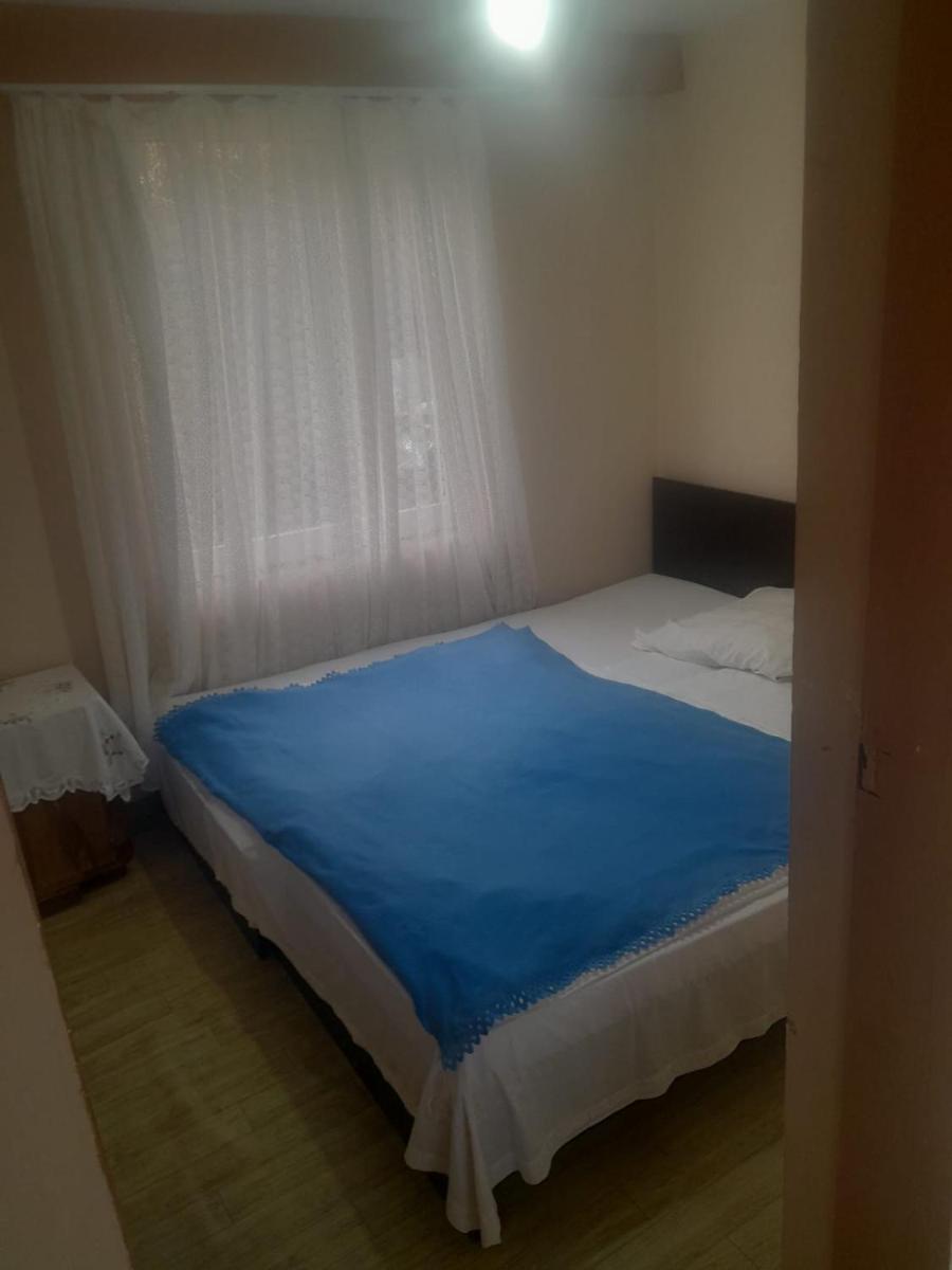 Cabana in poiana padurii - Housity