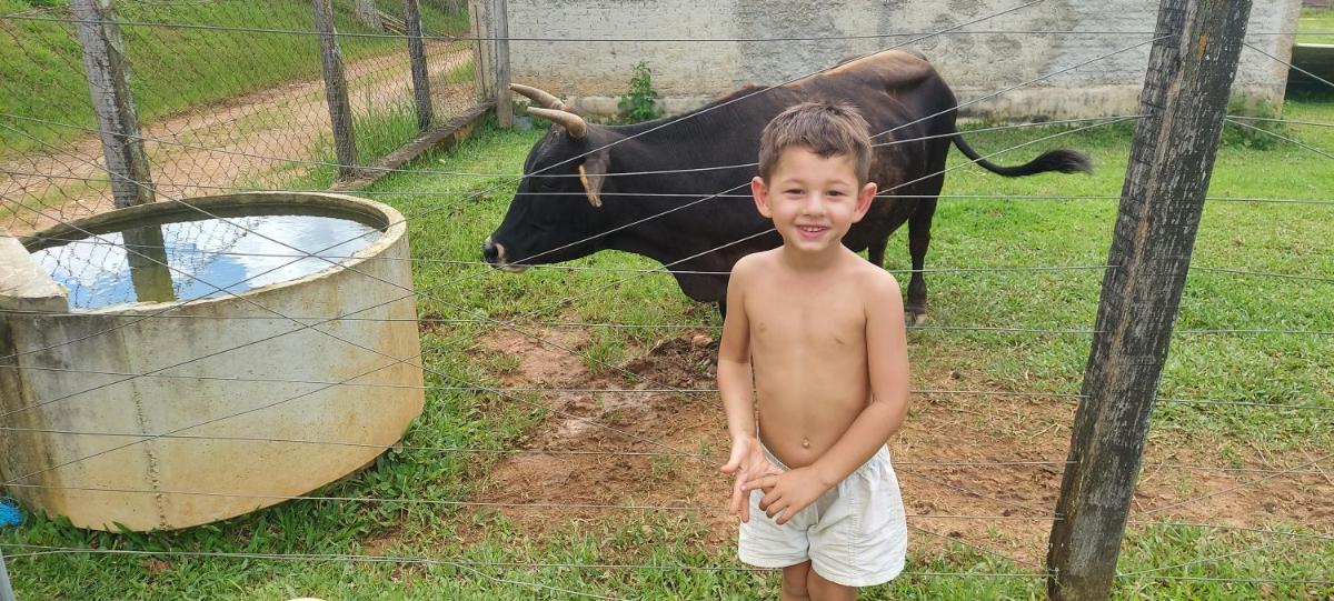 Sítio dos Rodrigues - Housity