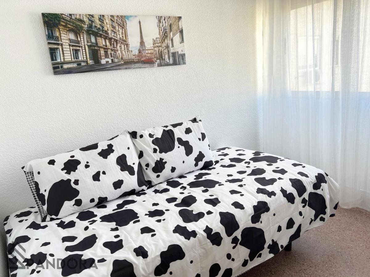 Apartamento Pandora - Housity
