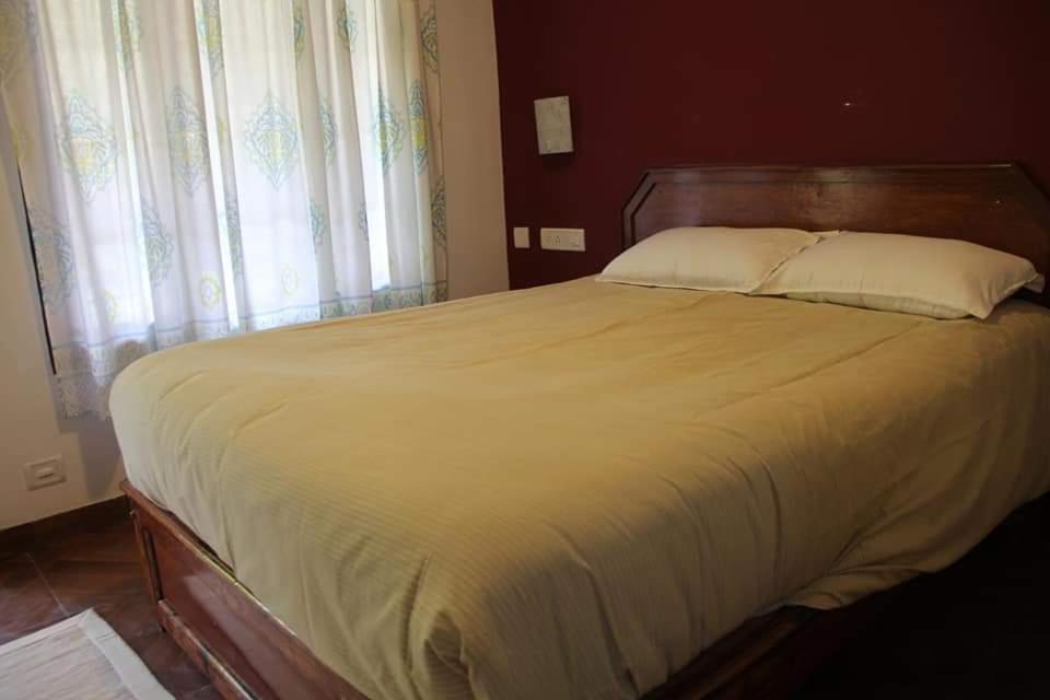 Jungle Retreat 5 bedroom apartment - Housity