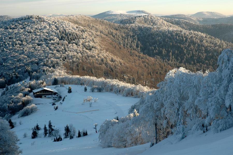 Suitetrails - Le Nid Douillet