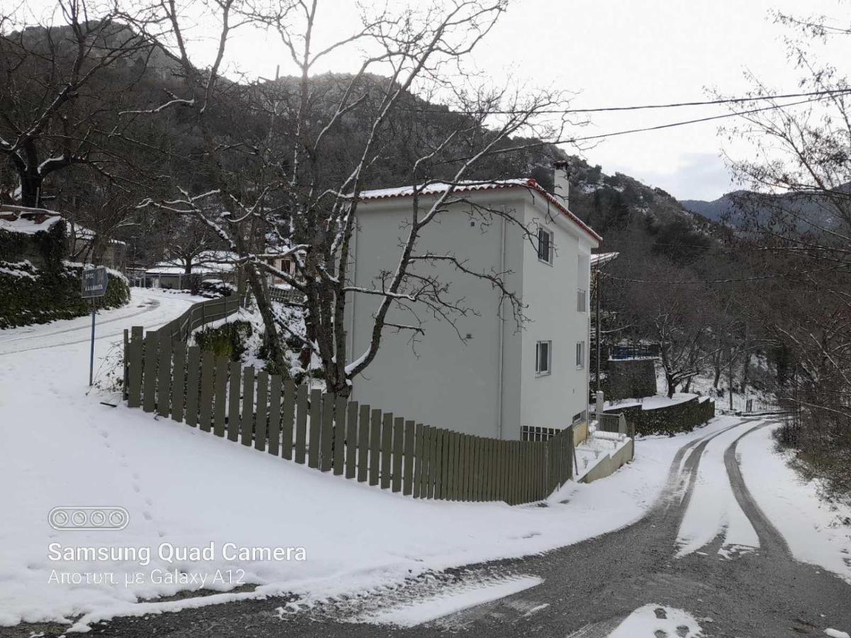 Villa Eva ΙΙ - Housity