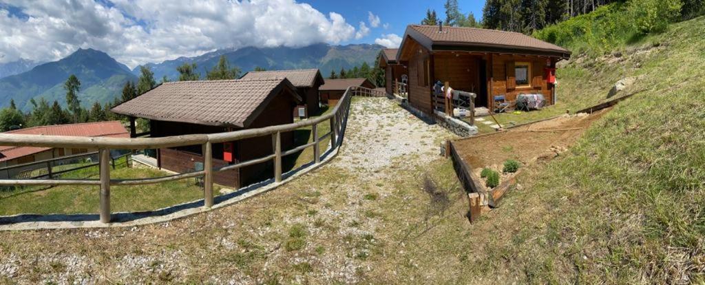 Camping & Chalet Pian della Regina - Housity
