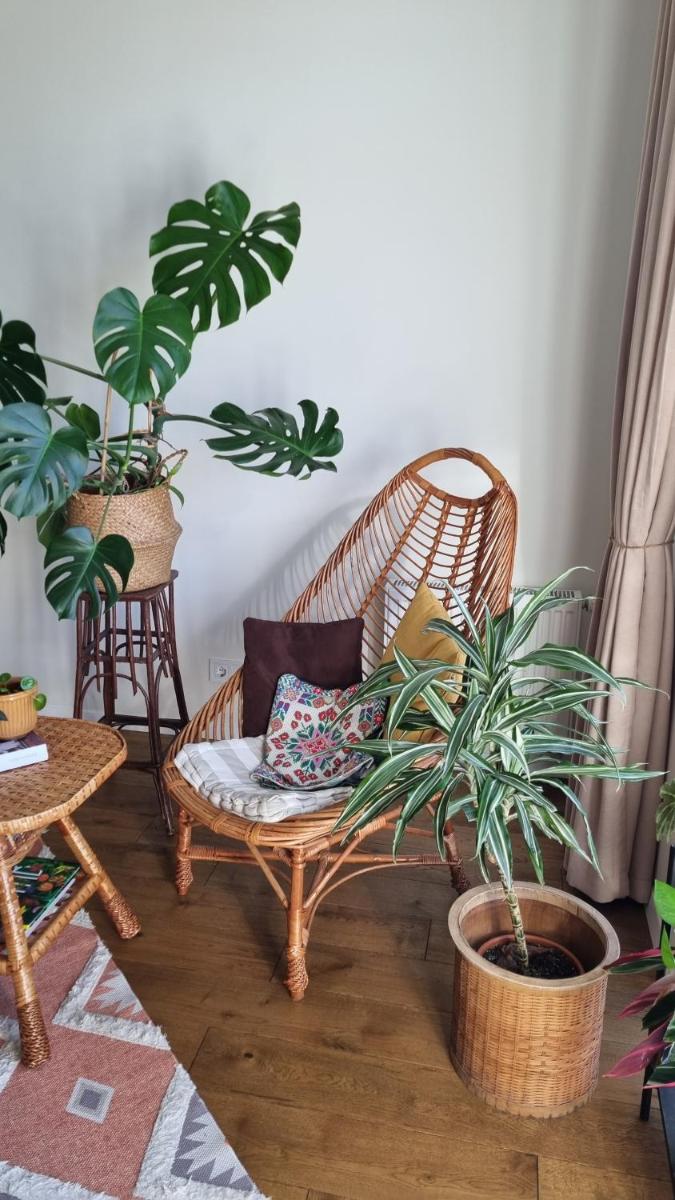 Kyiv Jungle apartment - Housity