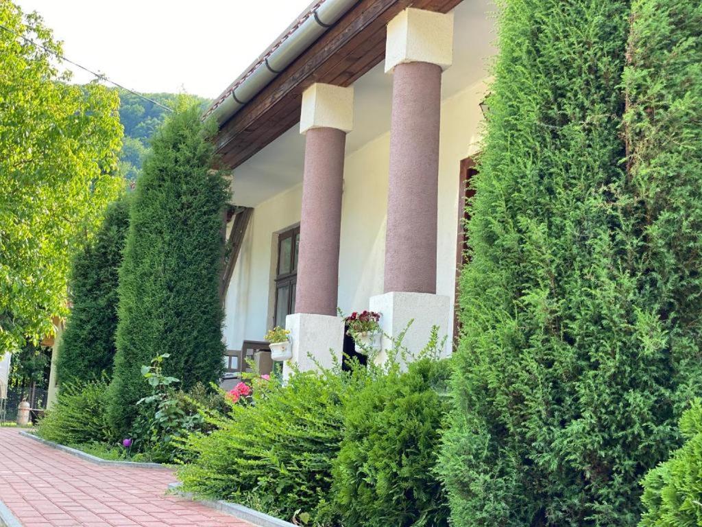 Nagymama Vendégháza - Housity