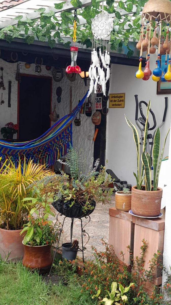 Apartaestudio tipo cabaña - Housity