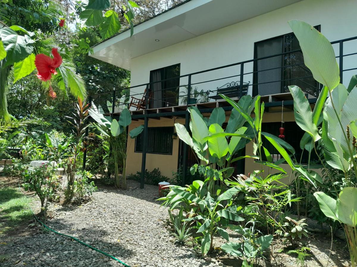 Miah house - Housity