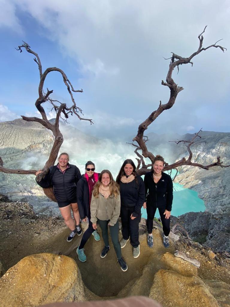ijen basecamp - Housity
