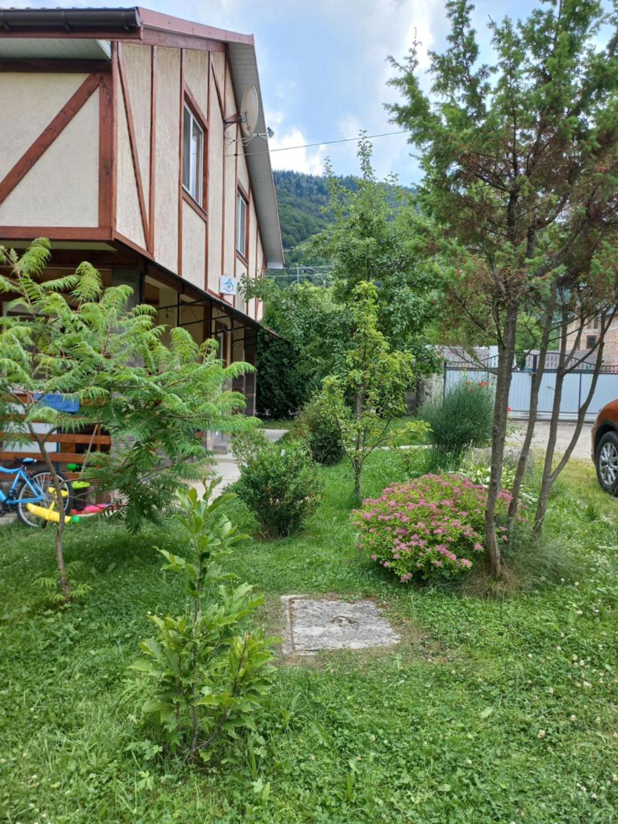 Zelena Sadyba Bila Stavka - Housity