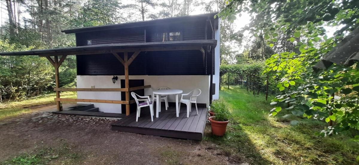 BORY TUCHOLSKIE SKÓRZENNO KOŁO OSIEKA - Housity