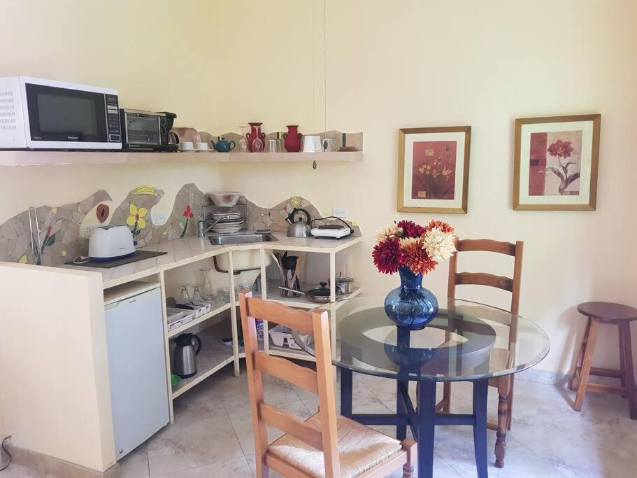 Tower Studio in the Treetops in Altos del Maria Panama - Housity