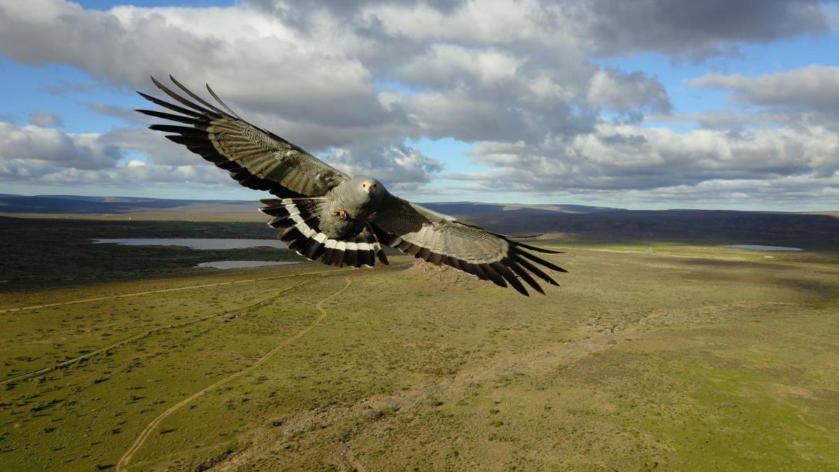 Karoo Rustigheid Guestfarm its located on the farm Koornlandskloof, Sutherland - Housity