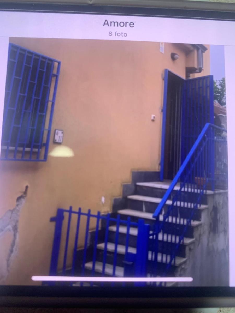 Domenico iannone - Housity