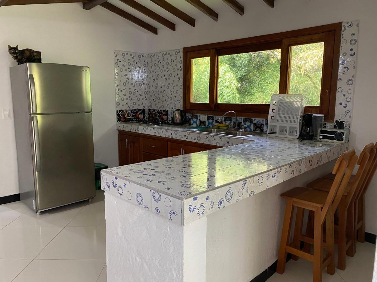 River house - Housity