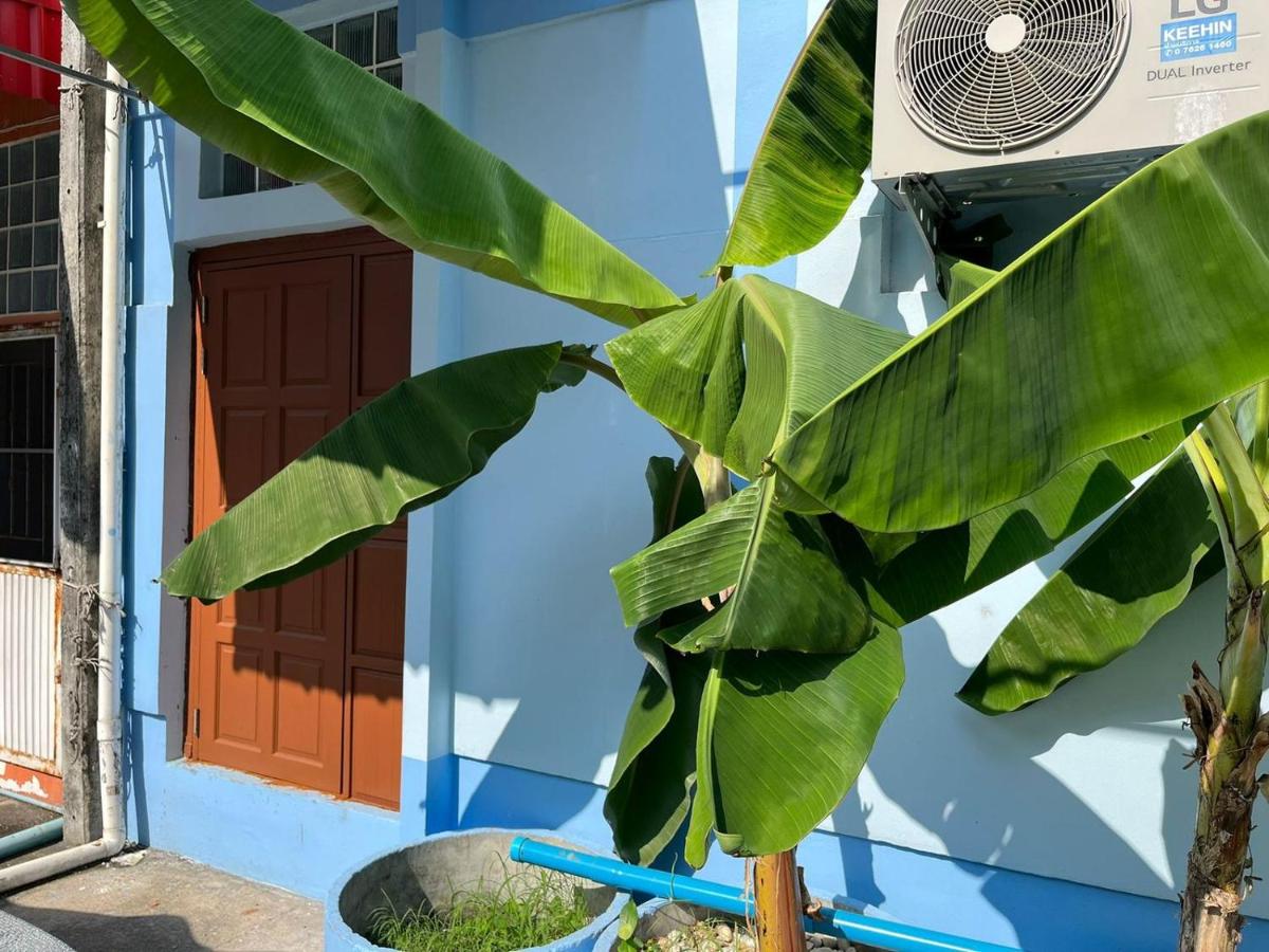 Banana House - Housity