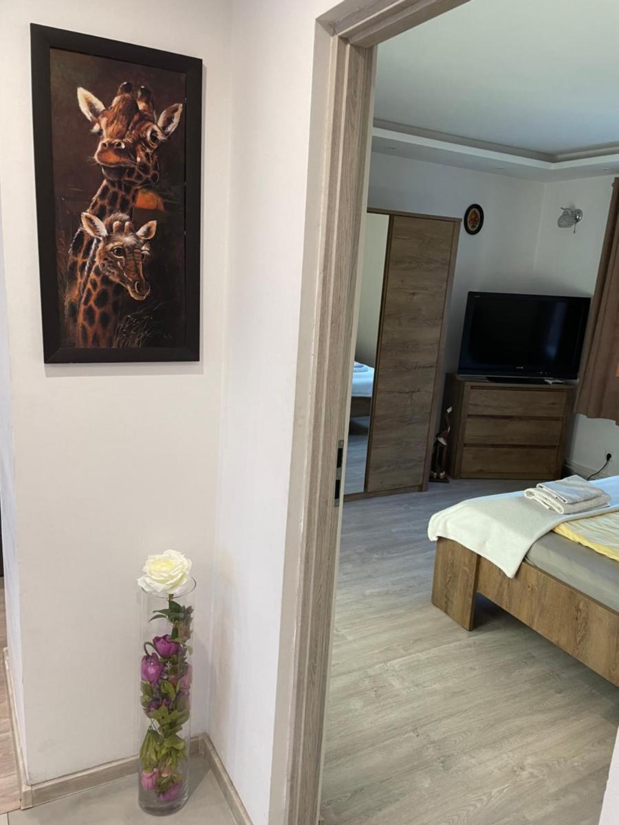 Prestige Apartament - Housity