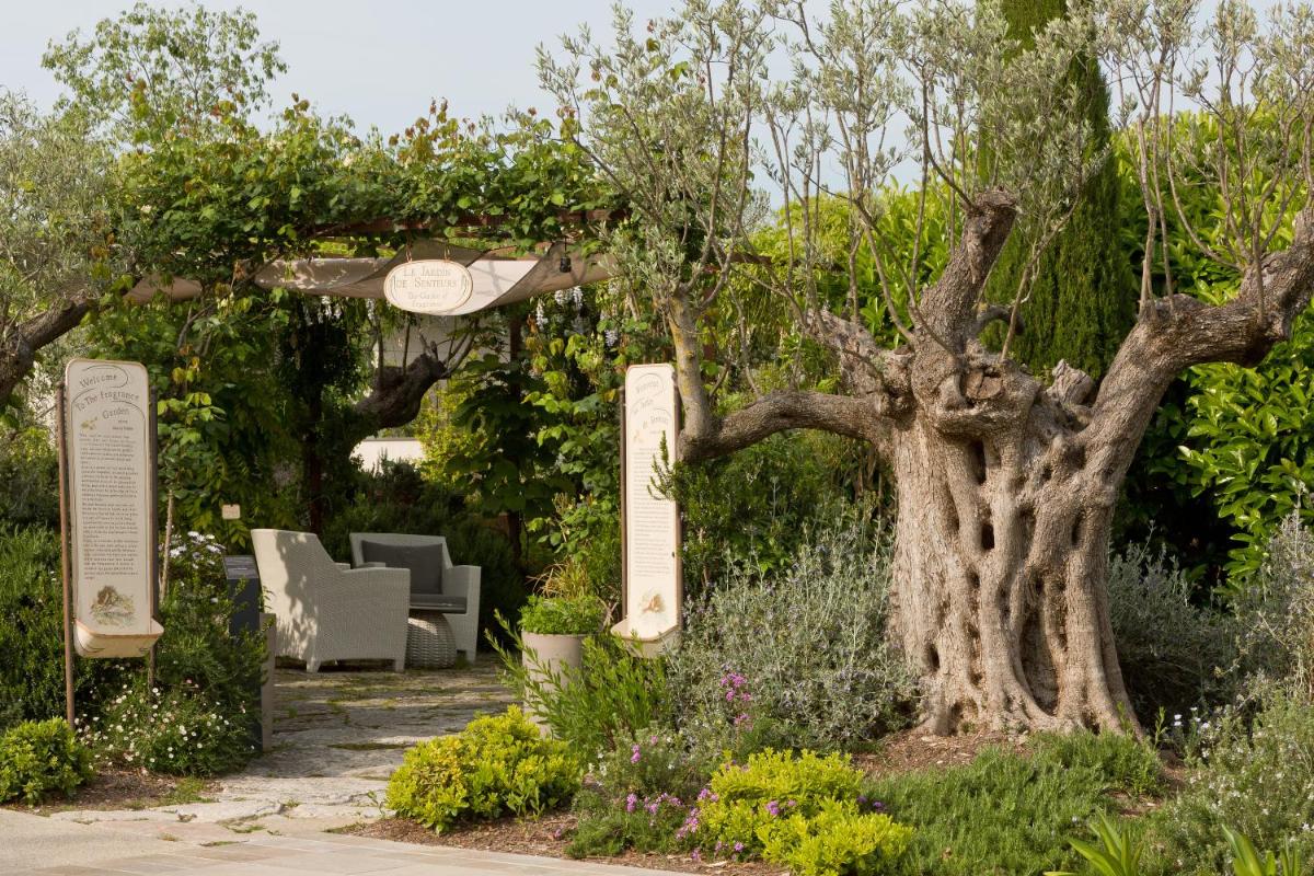 Jardin de l'établissement Domaine du Mas De Pierre
