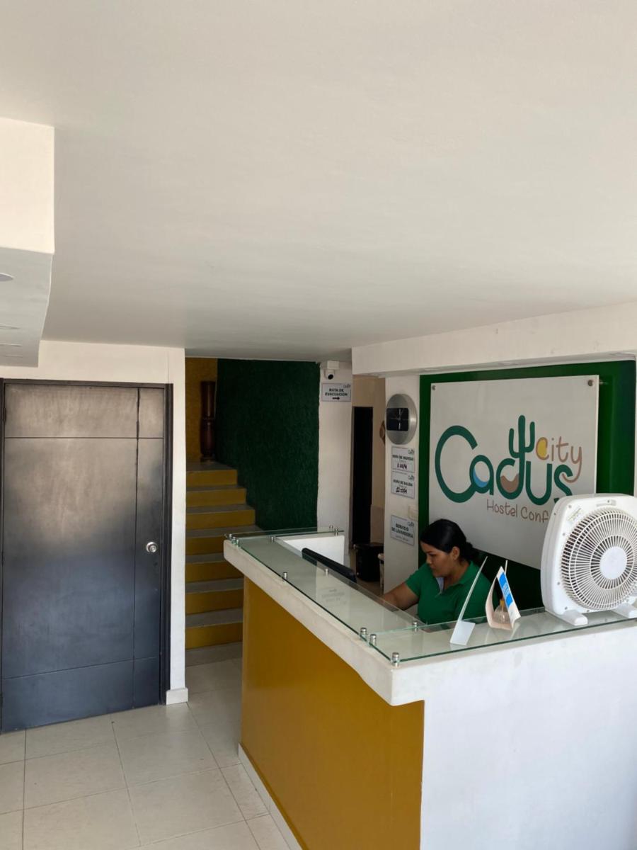 cactus city hostel confort - Housity