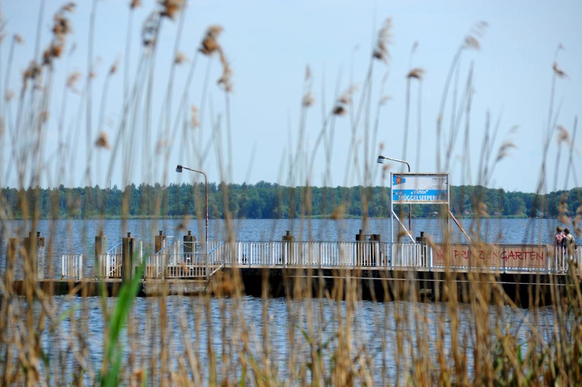 Müggelseeperle - Housity