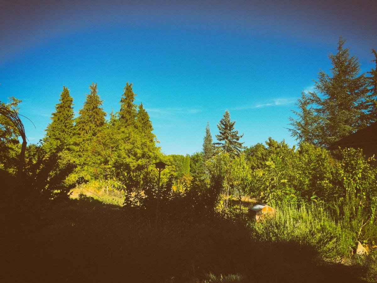 La Montagne Sud - Housity