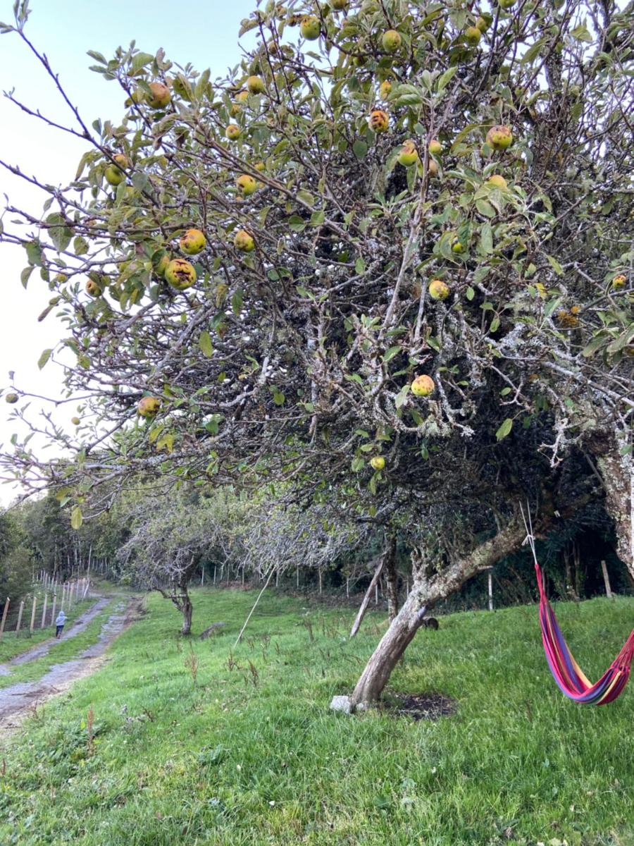Cabaña estero Huite - Housity
