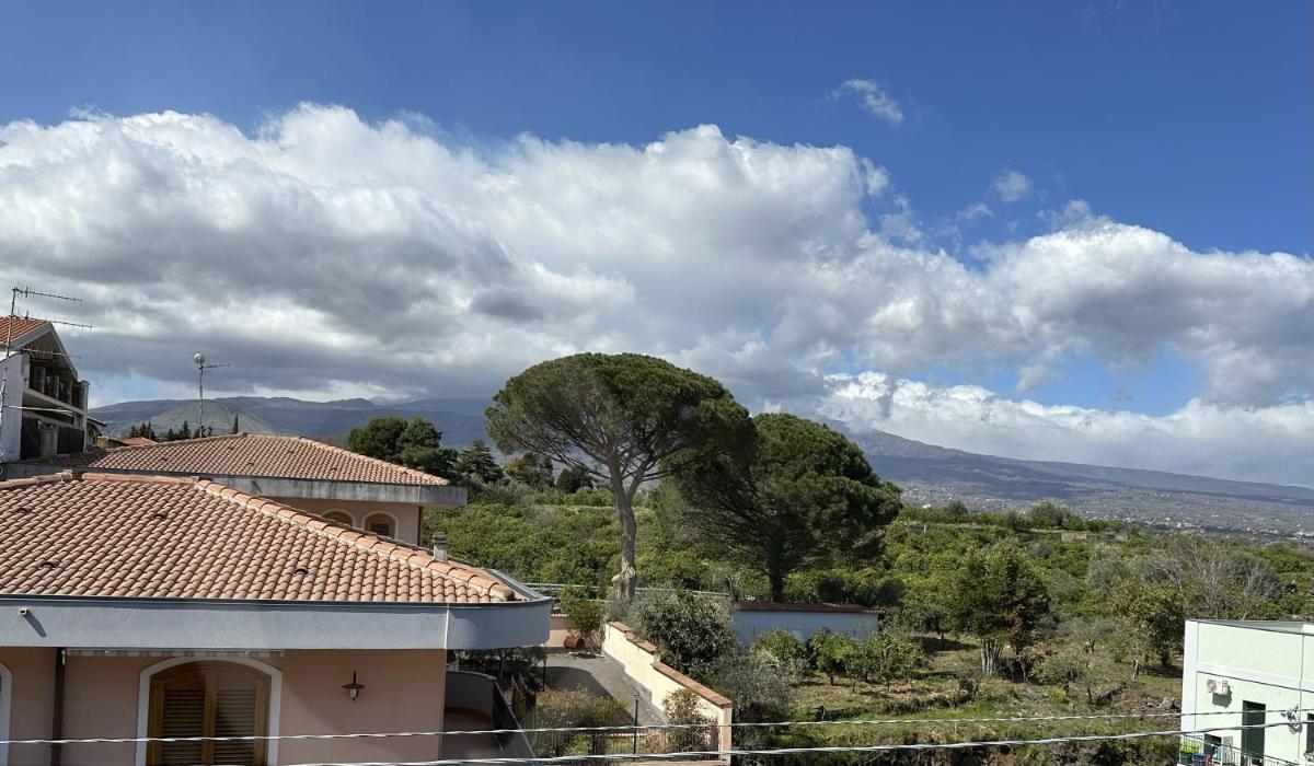 La pigna delle Aci Apartment - Housity