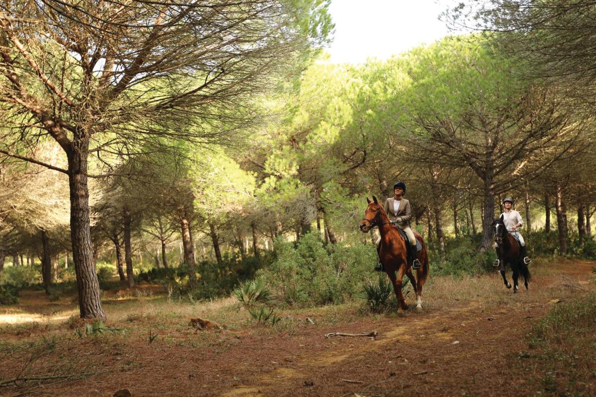 Montar a caballo en el hotel o alrededores