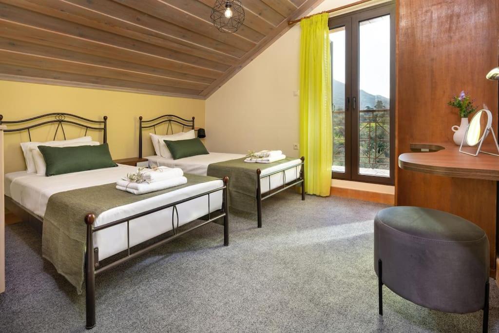 Celestia House - Housity