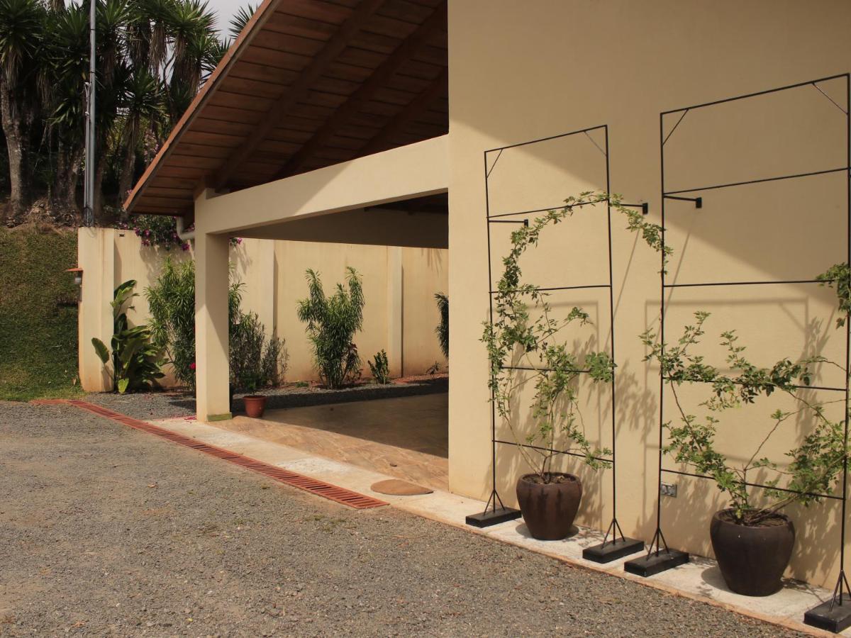 Casa Sofia, a Gem Close to Orosi Thermal Pools! - Housity